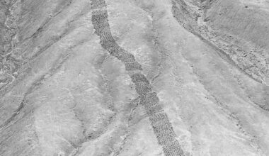 Welingelichte Kringen