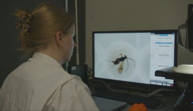 Alle Nederlandse plant-, dier- en schimmelsoorten krijgen barcode in DNA-bibliotheek