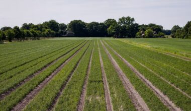 gebruik bestrijdingsmiddelen in landbouw met een vijfde afgenomen
