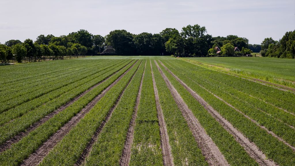 gebruik bestrijdingsmiddelen in landbouw met een vijfde afgenomen