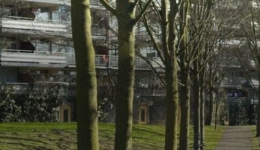 Jongen (14) ontvoerd en mishandeld in Amsterdam, drie minderjarigen opgepakt