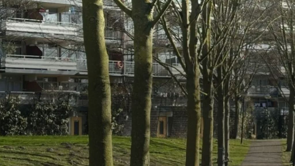 Jongen (14) ontvoerd en mishandeld in Amsterdam, drie minderjarigen opgepakt