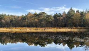 Vrijdag en zaterdag grote landelijke verschillen in kou en regen