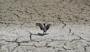 Klimaatcrisis: Wereld koerst af op catastrofale opwarming van 2,6 graden - Joop