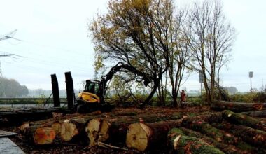 LIVE | A2-afsluiting Limburg: Kappen bomen gaat door: actievoerders voelen zich geïntimideerd en ‘iedereen is zo goed gewaarschuwd dat hinder meevalt’