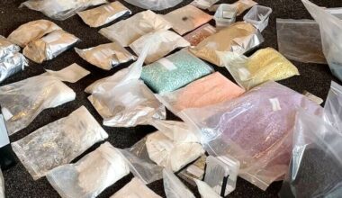 Doden gelinkt aan drugswebshop • Terugkeerbonus voor Syriërs