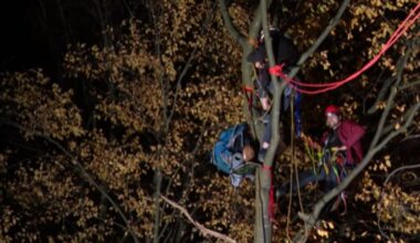 Activisten na twee dagen weg uit bomen langs de A2, kap uitgesteld