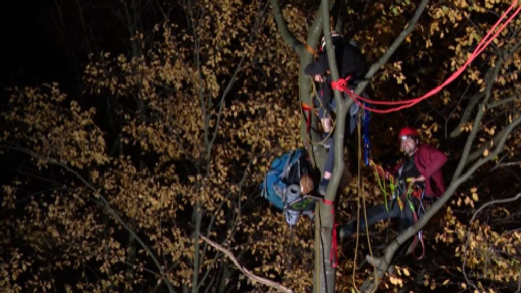 Activisten na twee dagen weg uit bomen langs de A2, kap uitgesteld
