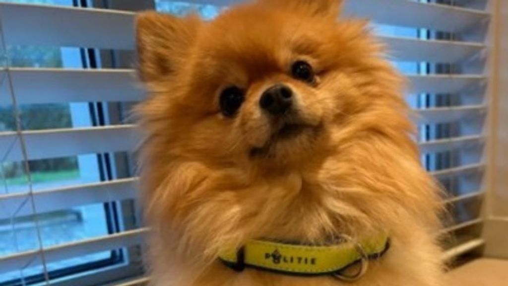 Politie Lelystad waarschuwt voor oplichtingspraktijken bij eigen winactie