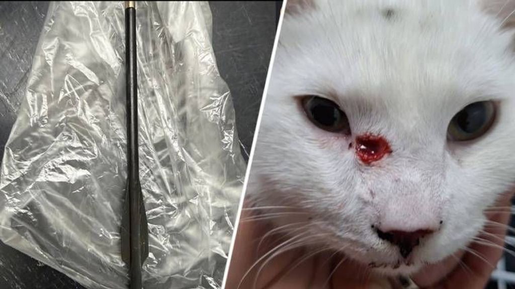 'Wees stoer en draag de kosten'