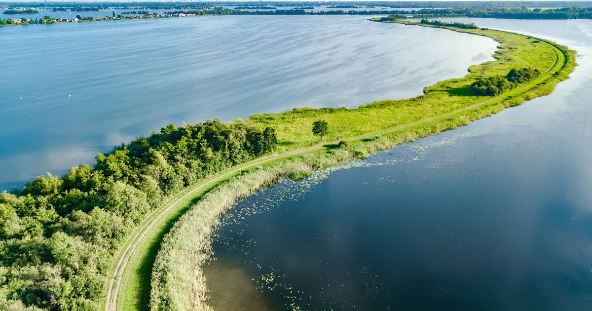 Welingelichte Kringen