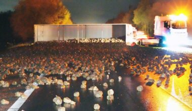 Duizenden suikerbieten op A28 na ongeluk vrachtwagen