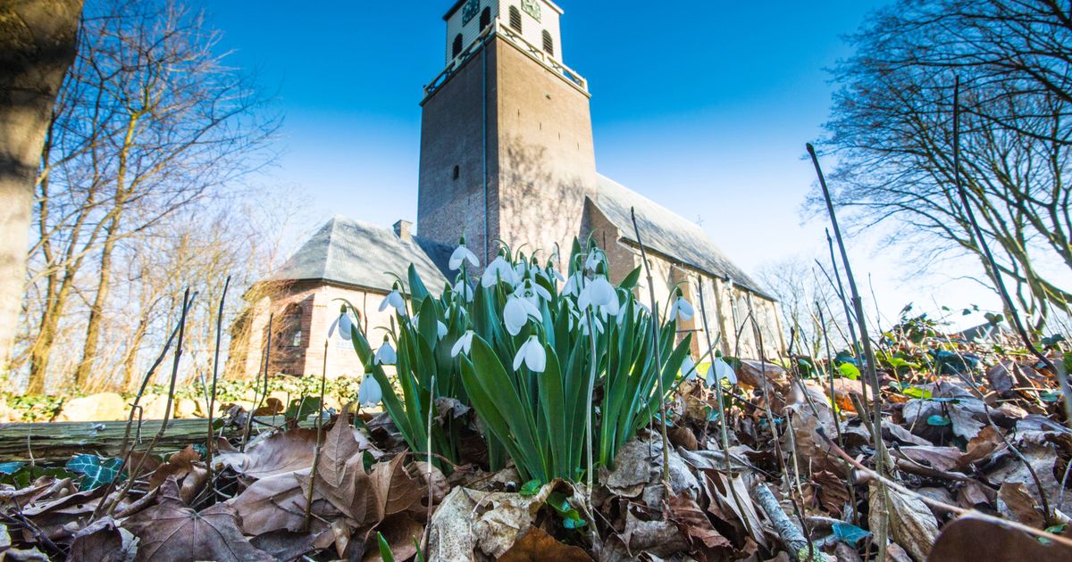 Welingelichte Kringen