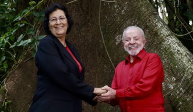 Nieuw fonds moet oerwoud beschermen, maar komt nog miljarden tekort