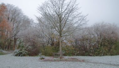 We zijn voorlopig nog niet af van het kwakkelende winterweer