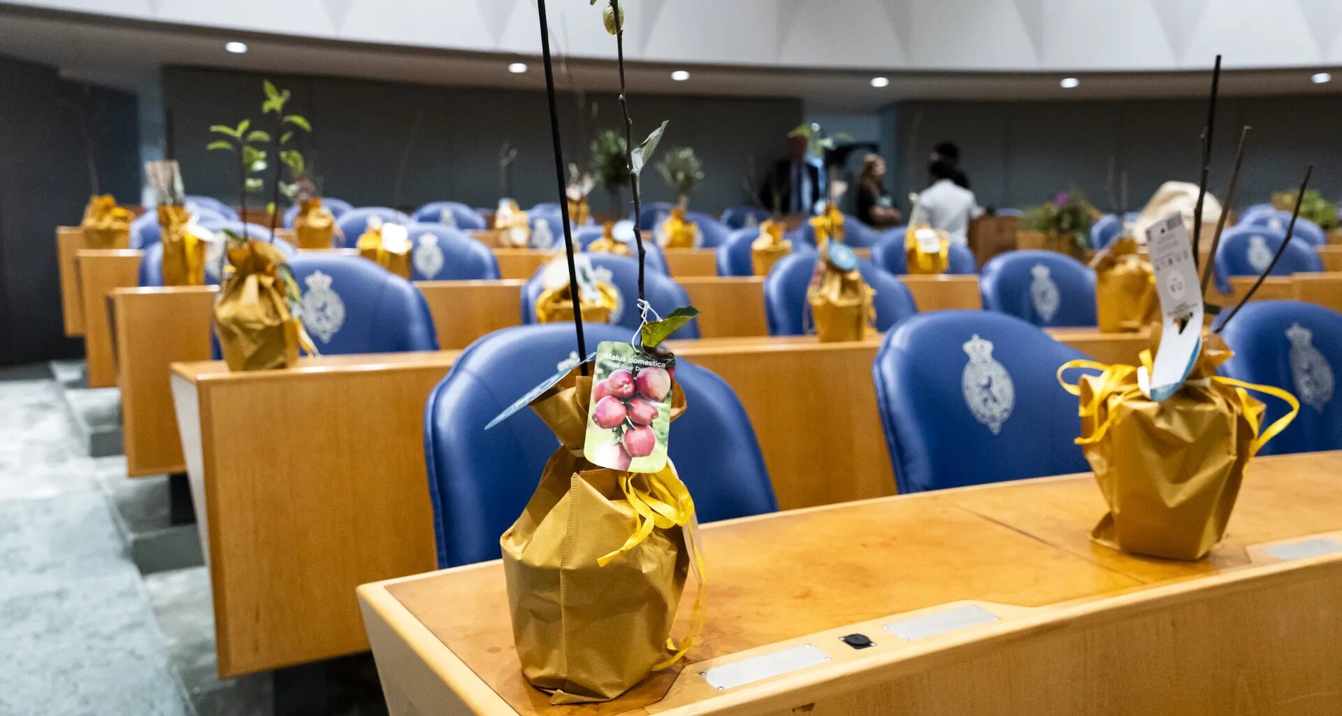 We hebben niet minder, maar veel méér vmbo’ers nodig in de politiek - Joop