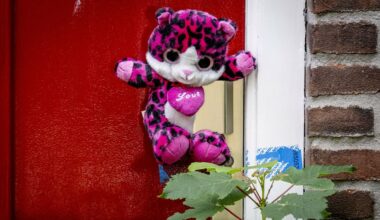 Vlaardingse pleegouders veroordeeld tot 8 jaar cel, geen tbs, lager dan eis