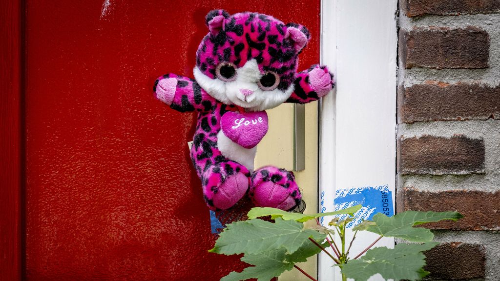 Vlaardingse pleegouders veroordeeld tot 8 jaar cel, geen tbs, lager dan eis