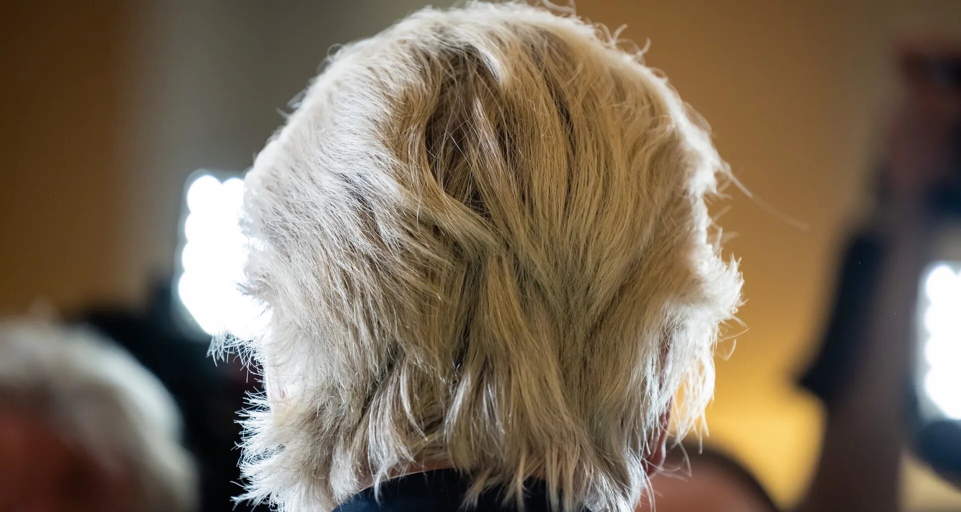 Extreemrechtse trollenlegers probeerden via X Nederlandse verkiezingen te sturen - Joop