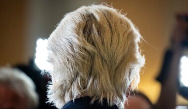 Extreemrechtse trollenlegers probeerden via X Nederlandse verkiezingen te sturen - Joop