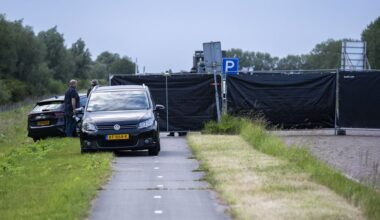 Broers van vermoorde zusje Ryan (18) ontkennen, wijzen naar vader