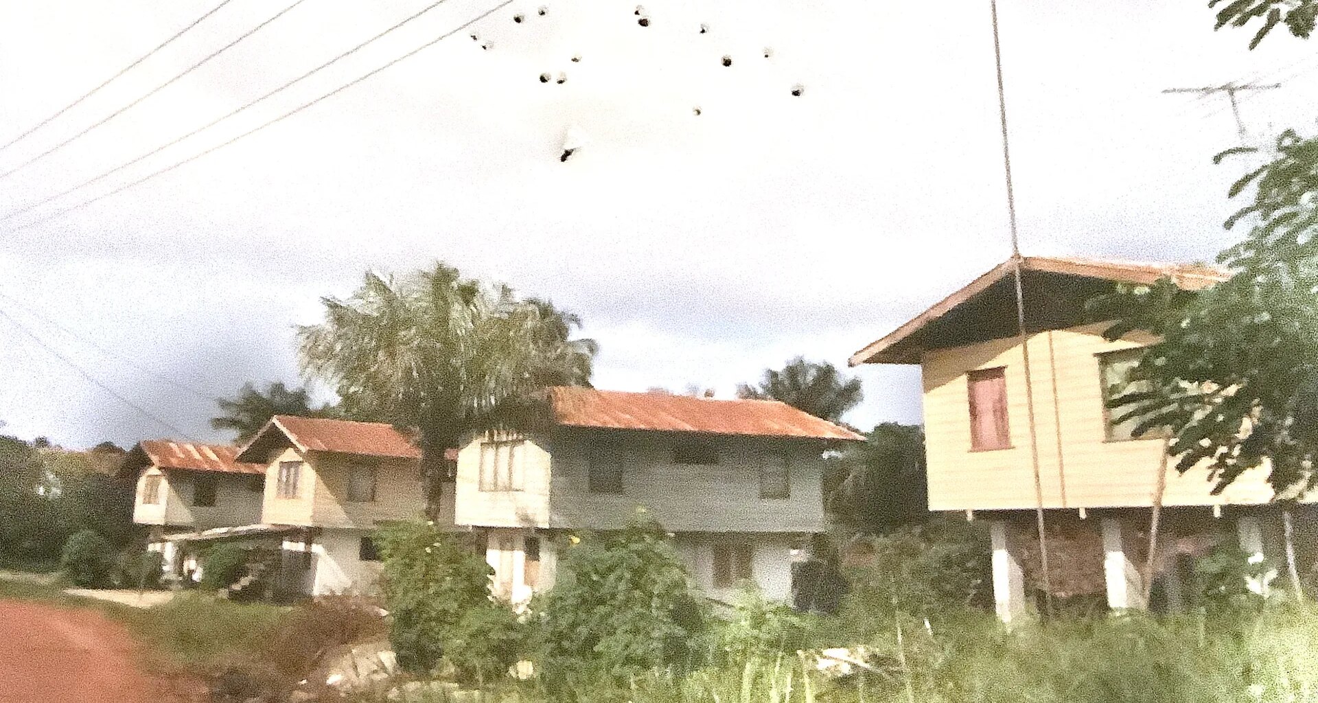 Omdat Nederland nooit van Suriname heeft gehouden is er op uiterst liefdeloze wijze afscheid genomen - Joop