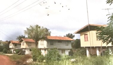 Omdat Nederland nooit van Suriname heeft gehouden is er op uiterst liefdeloze wijze afscheid genomen - Joop