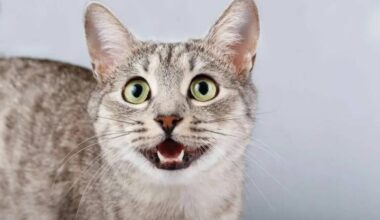 Welingelichte Kringen - Nieuws van overal: minder lezen, meer weten