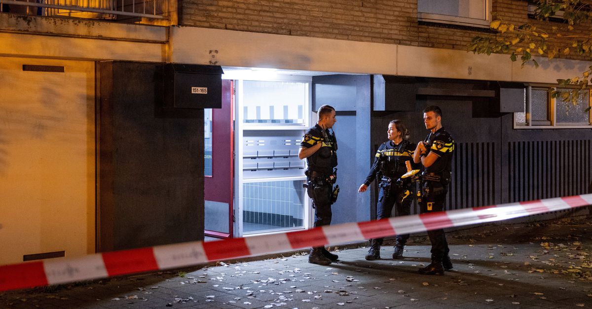 Inspectie: politieleiding verwaarloost lokale opsporing, ervaren agenten en expertise ontbreken