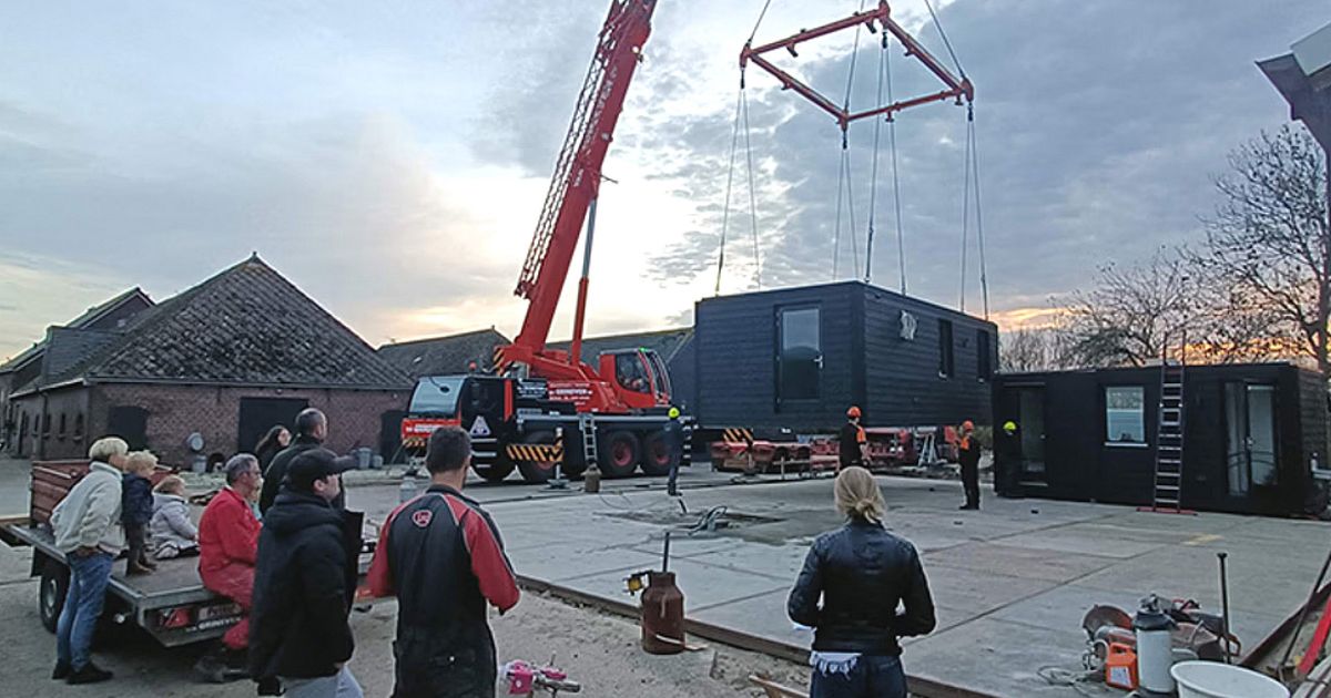 Melkveehouder schrijft geschiedenis met kweekvlees: 'Als boer moet je vooruit kijken' - Omroep West