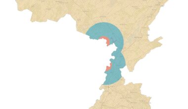 Vogelgriep vastgesteld in grensgebied België