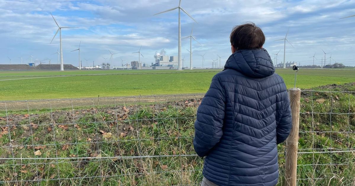 Verdwijning Moerdijk echoot na in Ganzedijk en Oudeschip: 'De emoties zijn hetzelfde'