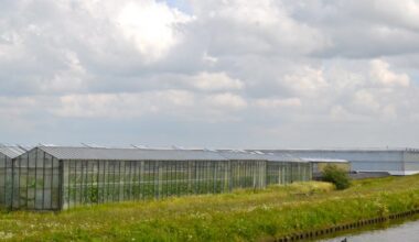 Tuinder krijgt forse dwangsom van 100.000 euro vanwege illegale lozingen