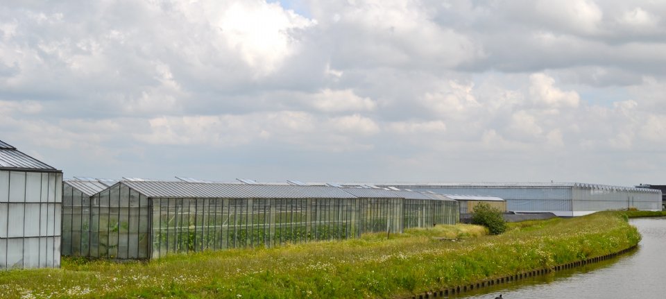 Tuinder krijgt forse dwangsom van 100.000 euro vanwege illegale lozingen