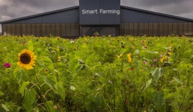 CO2-productie melkgevende Holstein-Friesian koeien wordt onderschat