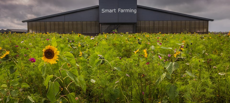 CO2-productie melkgevende Holstein-Friesian koeien wordt onderschat