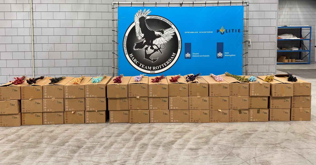 Verdachten schietpartij winkelcentrum zijn tieners | Kapmessen, bijlen en vuurwapens gevonden bij controles - Rijnmond