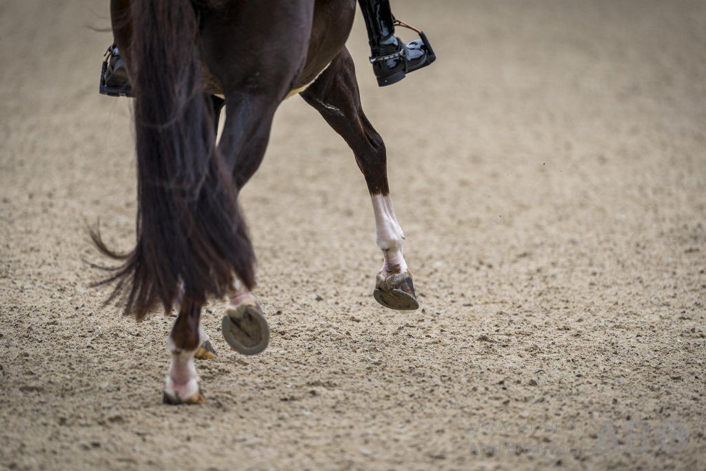 Jonge Spaanse dressuurruiter Adán Esterlich (24) overleden na verkeersongeluk