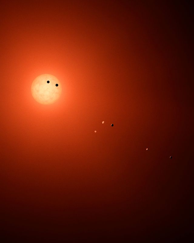De ster Trappist-1 met haar zeven planeten (alle vergelijkbaar qua grootte met de aarde).