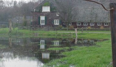 Overijssel neemt extra maatregelen om doelen voor waterkwaliteit te halen