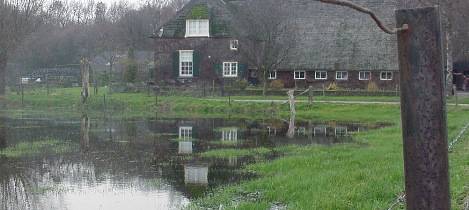Overijssel neemt extra maatregelen om doelen voor waterkwaliteit te halen