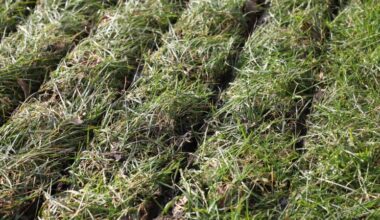 Nederland dreigt fosfaatplafond te overschrijden