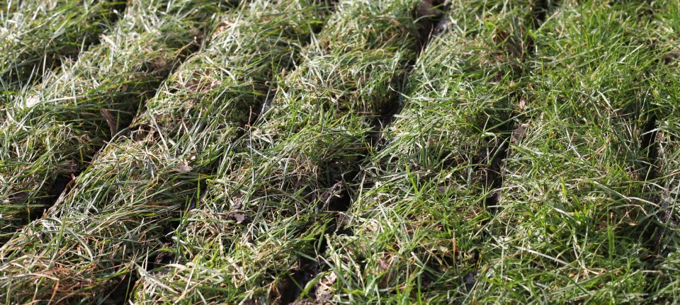 Nederland dreigt fosfaatplafond te overschrijden