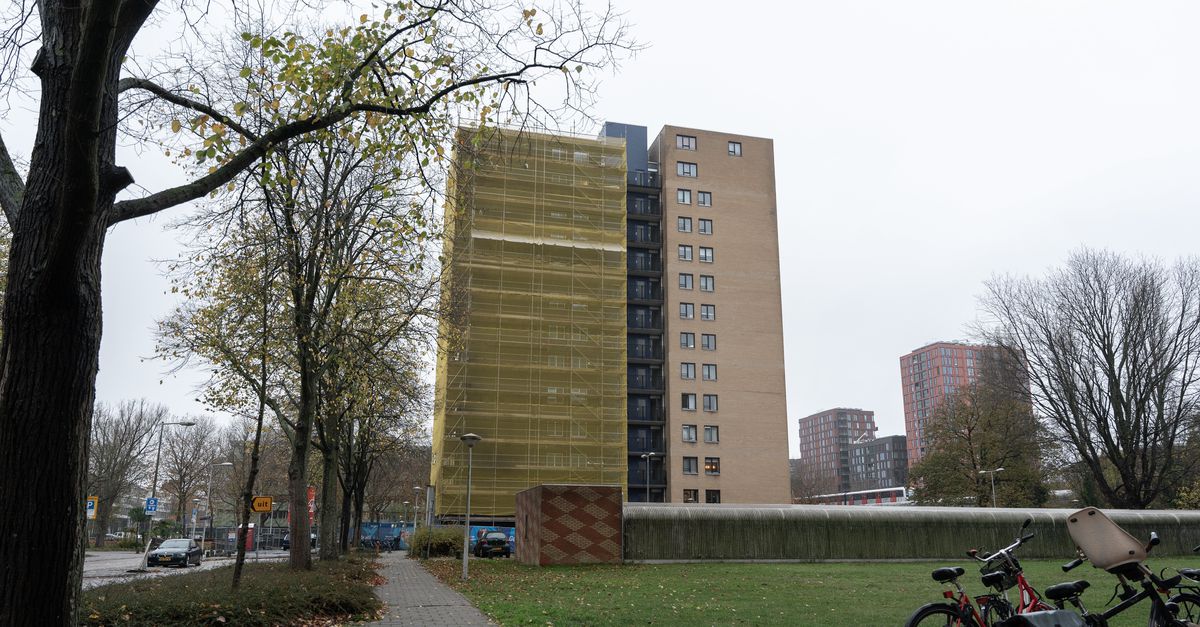 Irene Winkel, die dood werd gevonden in haar flat, werd inderdaad het slachtoffer van een nepagent