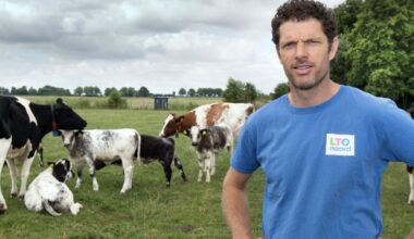 Verbijstering over landbouwplan Utrecht: 'Boeren betalen volle mep'