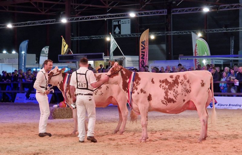 HHH 2025 Vaarzen kampioen 2025