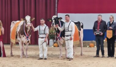 Dubbelslag Steegink bij algemeen kampioenschap HHH