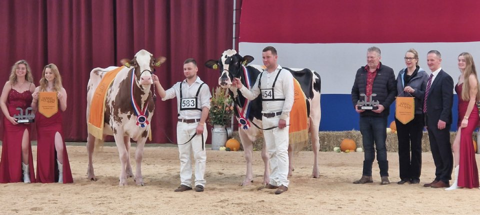 Dubbelslag Steegink bij algemeen kampioenschap HHH