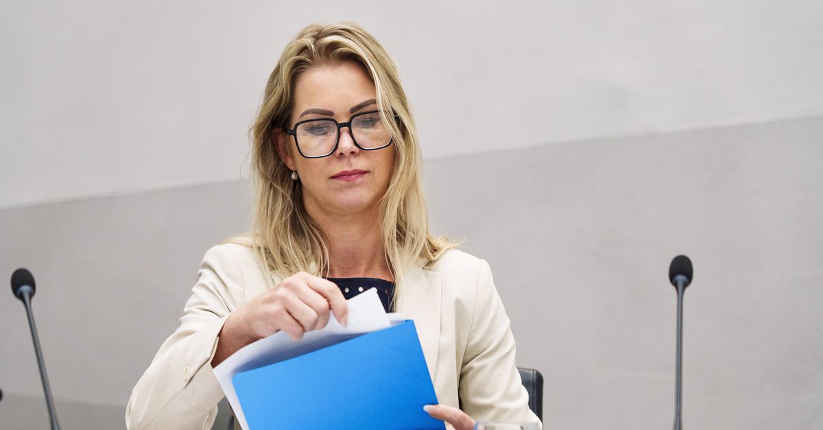 Minister Wiersma komt begin 2026 tóch met verbod op veeprikkers