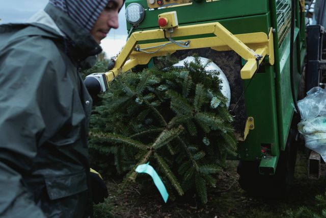 De kerstboomverpakkingsmachine.